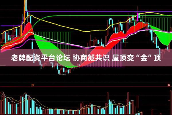 老牌配资平台论坛 协商凝共识 屋顶变“金”顶